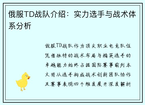 俄服TD战队介绍：实力选手与战术体系分析
